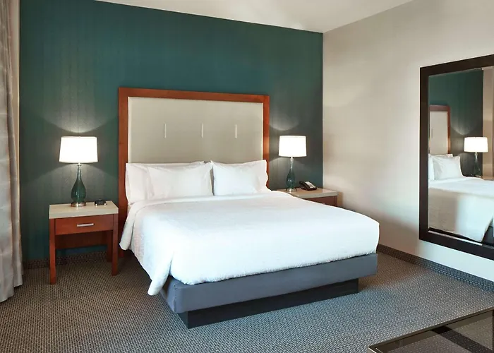 Hilton Garden Downtown 3*